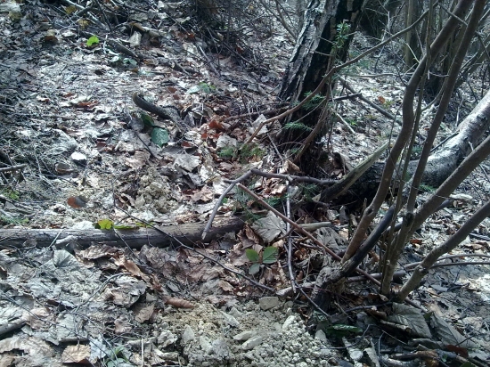 vytrhnutý z hlavy,,,