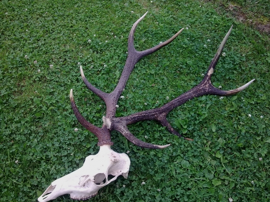 po 6 rokoch znova spolu...