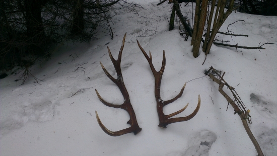 po vytiahnuti...z id 201993