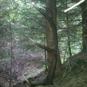 zaujimavo zhodeny...