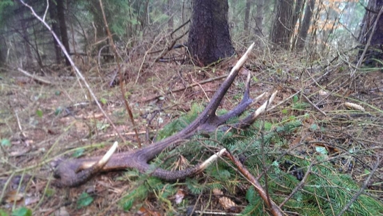 dnesna dobra hmota...