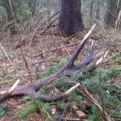 dnesna dobra hmota...