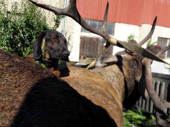 Po náročnom dni...