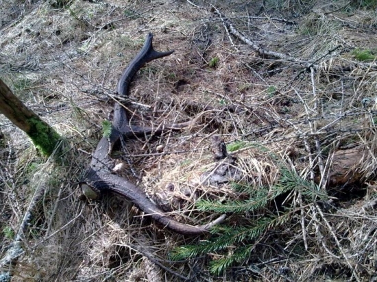 niekedy aj taky velmi potesi...