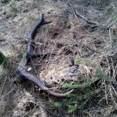 niekedy aj taky velmi potesi...