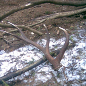 takto si na mna pockal..:P