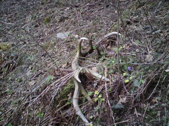 dnesny 18-torak skoda ze som ho nenasiel skôr