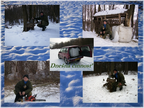Dnešná činnosť 21.02.2011