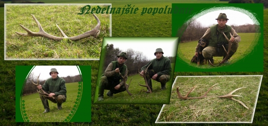 Nedeľňajšie popoludnie