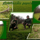 Nedeľňajšie popoludnie