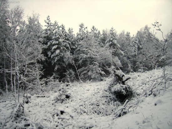 Pri Petrových studňach