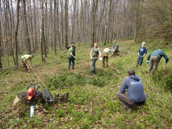 Odvetvovanie guľatiny