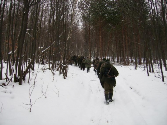 Rozostavovanie strelcov