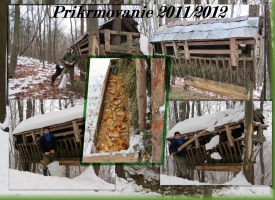 Prikrmovanie 2011/2012