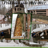 Prikrmovanie 2011/2012
