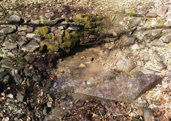 studnička v Hrabinách