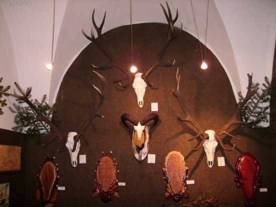 Chovateľská výstava 2007