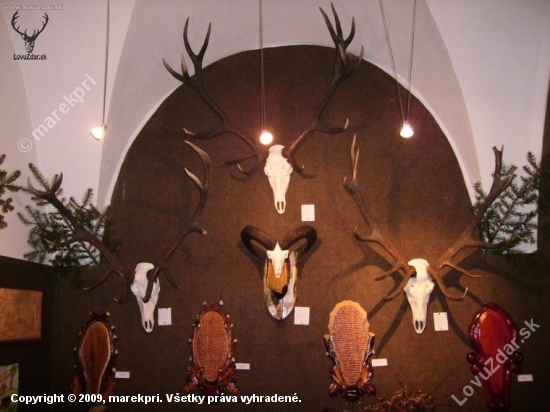 Chovateľská výstava 2007