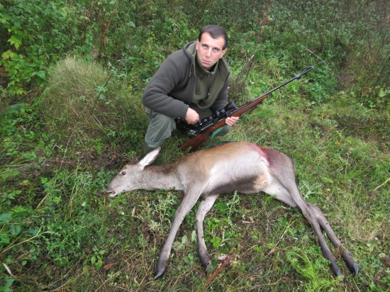 Jelienča zo sobotňajšieho rána