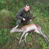 Jelienča zo sobotňajšieho rána