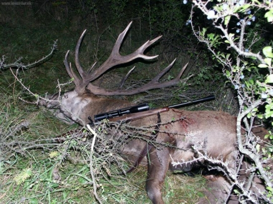 Poplatkový odstrel 2002/2003, 197,57 CIC - 12 rokov