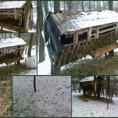 Prikrmovanie 1/2013