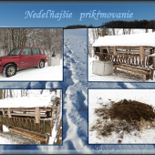 Prikrmovanie 2/2013