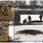 Prikrmovanie 3/2013