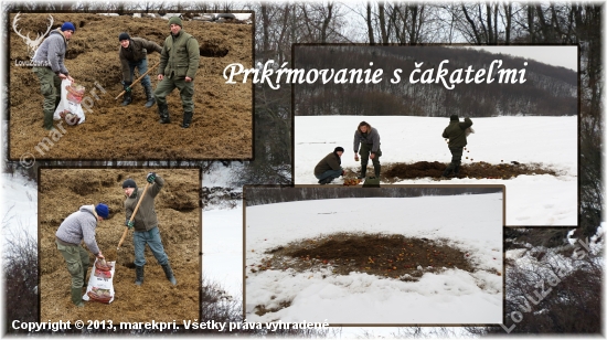 Prikrmovanie 3/2013