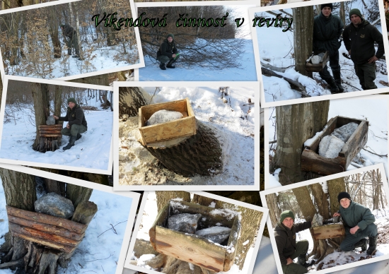 Víkendová činnosť v revíry