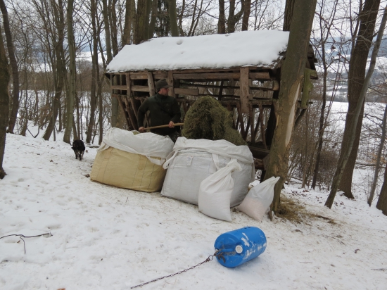 Februárové prikrmovanie