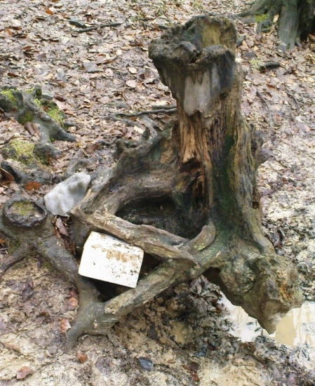 Doslužilé solisko, má viac ako 10 rokov