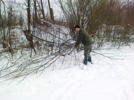 zrezavanie drevín na ohryz