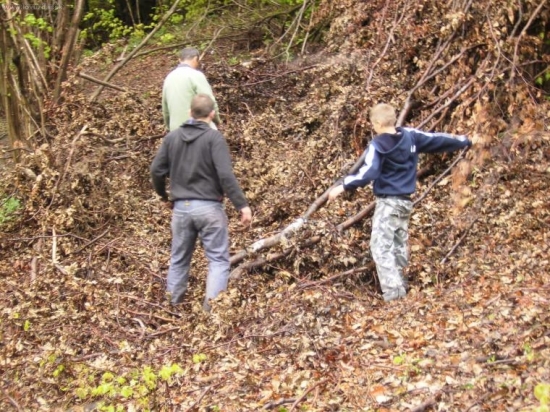 Studnička po kalamite