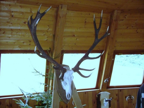 Výstava trofejí z PO J XXVI/1