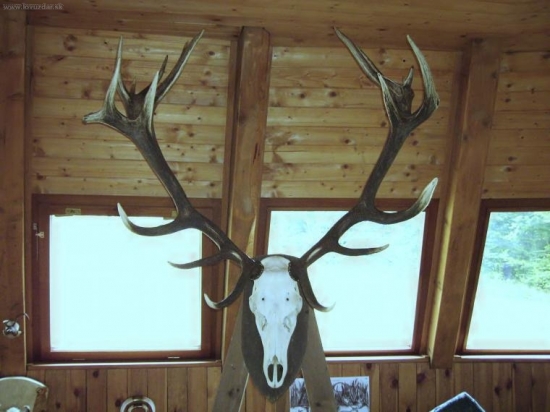 Výstava trofejí z PO J XXVI/1