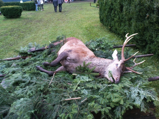 Obeta na počesť sv. Huberta