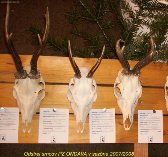 srnce zo sezóny 2008/2009