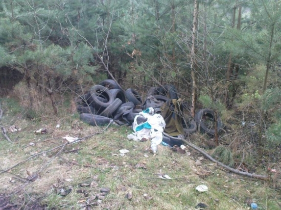 pri vcerajšej prechadzke