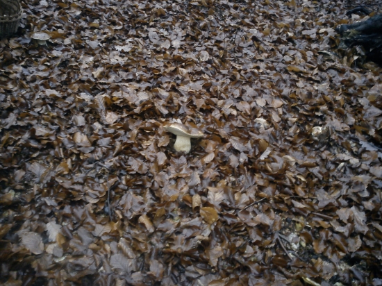 Jedno upršané ráno