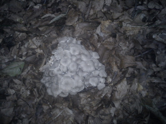 kto nehľadá nájde