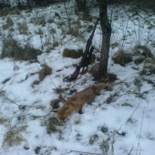 štvrtá v sezone...