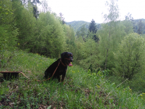 Cyra Bykovska dolina