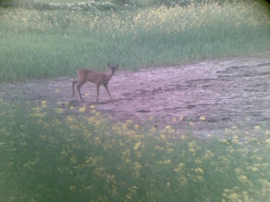 Pohľad do očí na 20m