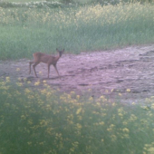 Pohľad do očí na 20m