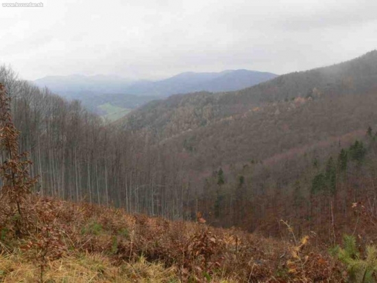 Javorníky v hmle...