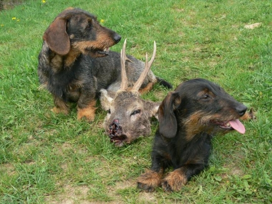 Malí nálezcovia :)