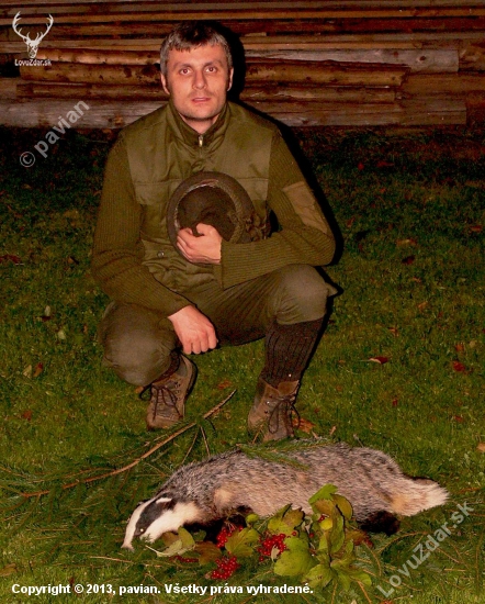 Borsuk