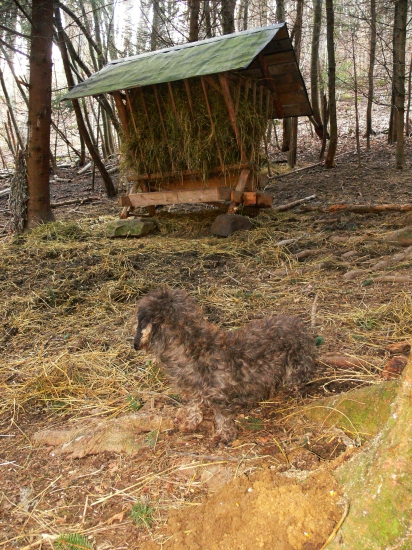 Posledné zbohom milovanej hore...