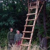 Upršaný posed